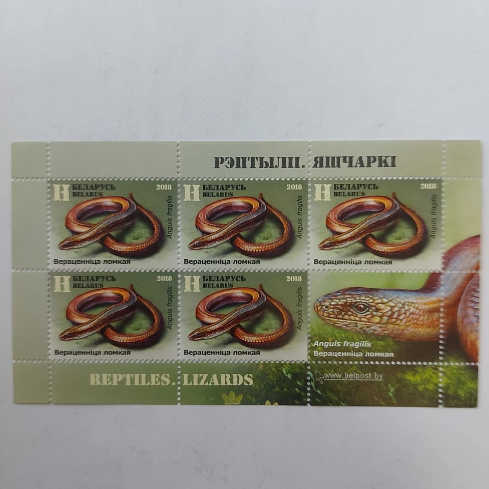 2018 Belarus, Stamp,REPTILES,mini sheet MNH.#st 17 - Image 1 of 3