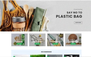 ECO-FRIENDLY PRODUCT | Dropshipping Website Business | FREE DOMAIN & HOSTING - Picture 1 of 2