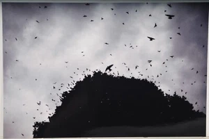 Nina Jäger /verso Handsigniert /Foto Print /2007 / 75 Exemplare - Picture 1 of 4
