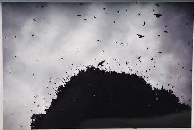 Nina Jäger /verso Handsigniert /Foto Print /2007 / 75 Exemplare - Bild 1 von 4