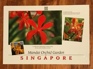1992 Singapore to Israel Cover FDC - Picture 1 of 2