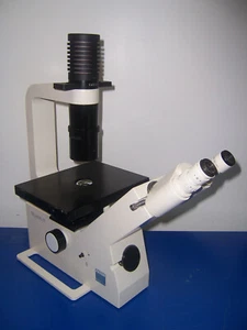 11038 ZEISS TELAVAL 31 INVERTED MICROSCOPE EYES GF-P10X 5X & 10X BOTTOM LENS - Picture 1 of 12