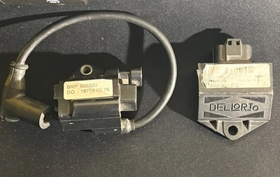 Bobina de encendido del motor de kart Rotax Evo Max, caja ECU Dellorto Foto 1 de 4