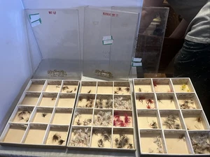 Vintage Olson Fly and Lure Co Store Display Boxen mit Angeln Fliegen! - Bild 1 von 6