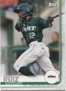 2019 Topps Pro DeBut ESTEURY RUIZ Base Single - FORT WAYNE TINCAPS - #5 - Picture 1 of 1