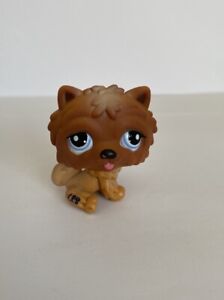 LPS Littlest Pet Shop 02811  Chow Chow dog , AUTHENTIC Hasbro Toy