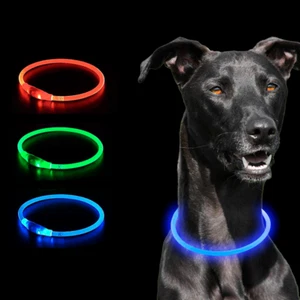 Dog LED Collar Blinking Light up Night Flashing Glow Adjustable USB Rechargeable - Picture 1 of 12
