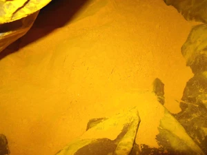 Yellow 74 - Artist's Pigment Dry Color - 22 Lbs / 10 KG Dalamar Yellow YT-818-D - Picture 1 of 5