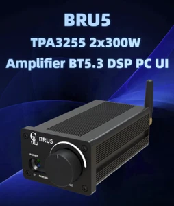 TPA3255 2x300W Bluetooth-Verstärker BT5.3 Modul 2.0 Stereo High-Power DSP PC-Ben - Bild 1 von 15