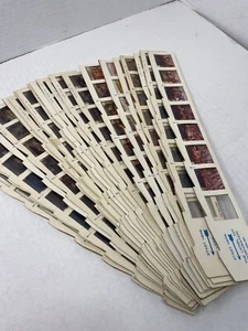 Lionel Toy Corp Películas Jector Diapositivas Lote De 24 Películas E Historias Diversas - Imagen 1 de 13