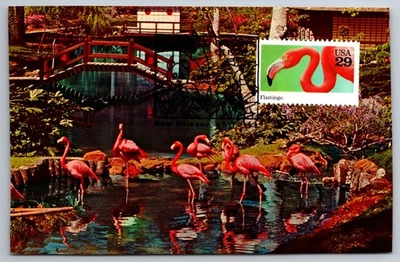 #2707 Flamingo FDC Maxi Card w/Pictorial Cancel - Image 1 of 2