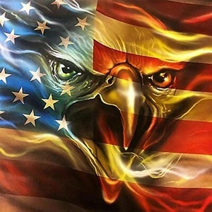 Eagle and American Flag Iron On Transfer-T-Shirt + Light & Dark Fabrics #4 - Picture 1 of 4