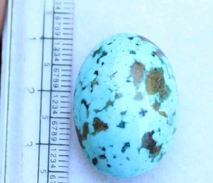 43.6 Ct 18.5*26.5 Mm Natural Oval Cabochon Kingman Blue Turquoise Loose Gemstone - Picture 1 of 5