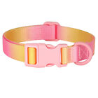 Strong Nylon Pet Dog Collar Colourful Striped Adjustable for Small Large Dogs