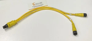 Brad Harrison 884A30K05M003 4P Y-Splitter M/F STR M12 0.3M Cable  - Picture 1 of 5