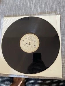 MEGA RARE! 1997 Sublime Doin Time Single Sided 12” Acetate - Picture 1 of 4