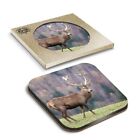 1 x Boxed Square Coasters - Deer Stag Antlers Animals  #3667