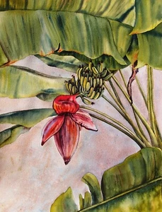Original Watercolor Painting Tropical Botanical Flower Ukrainian Artist Art - Picture 1 of 16