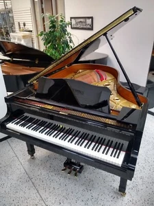 Yamaha C5 Grand Piano 6'7 Black Polish - Picture 1 of 3