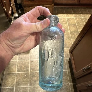 Seeters Vichy And Carbonated Beverages Hutchinson Soda Bottle Pittsburgh PA - Picture 1 of 14