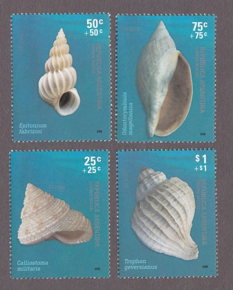 Argentina Stamps 2008 Sea shells FULL SET MINT NEW MNH - Image 1 of 1