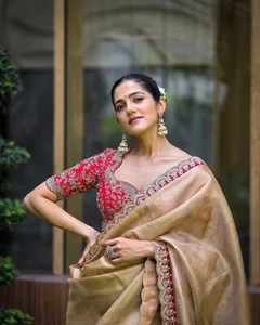 Camicetta Sari Bollywood designer indiano abbigliamento festa pakistano matrimonio fantasia sari - Foto 1 di 9