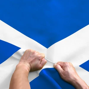 Anley 3x5 Ft Scotland Flag Rip-Proof Double Sided 3-Ply Scottish National Flags - Picture 1 of 7