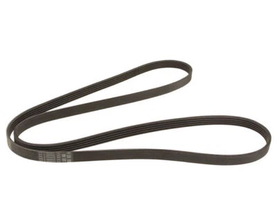 Cinturón multi costilla para Chevrolet Impala 2014-2019 98953MYKP 2015 2016 2017 2018 Foto 1 de 2