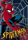 spider-man kolekcja animowanych kreskówek