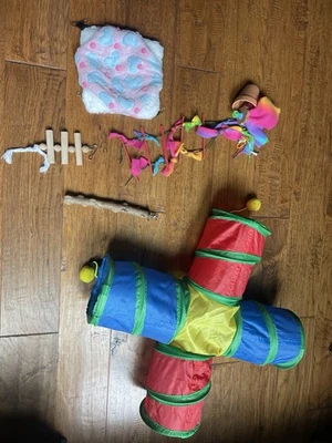 Juguetes caseros divertidos enriquecimiento de ratas para mascotas sin suministros de aburrimiento Foto 1 de 2