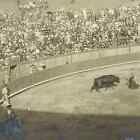 1903 Original Photo Bullfighting Bullfight At Plaza De Toros Mexico City Ac7-1