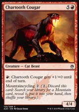 MTG chartooth Cougar Foil EXC-Cougar dentebrace-a25-Magic