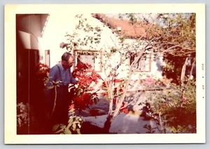Found Photo Man Enjoying Poinsettia Plants at Motel Guadalajara Mexico 1960s - Picture 1 of 2