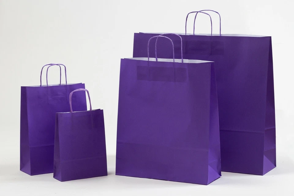 Papiertragetaschen VIOLETT LILA Papiertüten Tüten Taschen Papierkordel - Bild 1 von 1