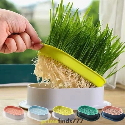 Cat Grass Planting Box Plant Growing Kit Hydroponic Soil-Free Sprout Germination - Image 1 of 4