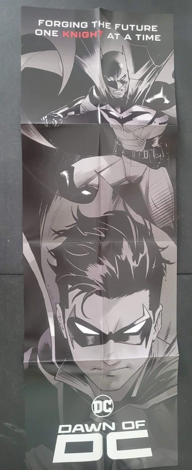 РЕКЛАМНЫЙ ПЛАКАТ BATMAN & ROBIN DAWN OF DC 12 x 36 дюймов КОВКА БУДУЩЕГО НОВЫЙ НЕИСПОЛЬЗОВАННЫЙ - Изображение 1 из 1