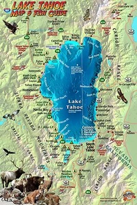 Lake Tahoe Karte & Fischkarte wasserdicht von Franko Maps - Bild 1 von 2