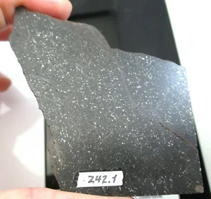 Rebanada de meteorito Marlow - 100 gramos - L5 - Ex. Walton - Oklahoma - Imagen 1 de 8