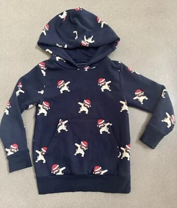 Cactus Boys Holiday Santa Hat Christmas Hoodie Boys Size 5/6 - Picture 1 of 7
