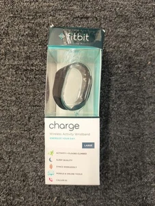 Fitbit FB404BKL Braccialetto di Ricarica per Attività Wireless, OBN, A2 - Foto 1 di 3