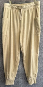 Aerie Offline Women’s Velvet Velour Joggers Beige SZ Lg Athleisure Comfy Lounge - Picture 1 of 7