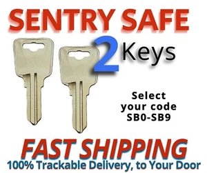 Sentry Safe Keys Firebox Cash Box Replacement Key Cut to your Code SB0-SB9 - Picture 1 of 2