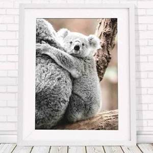 Koala - Australian Native Poster Picture Print Sizes A5 to A0 **FREE DELIVERY** - Bild 1 von 7