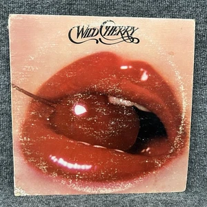 Wild Cherry Self-Titled 1976 Vinyl LP Album Epic PE 34195 VG+/VG - Foto 1 di 7
