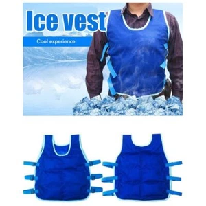 Ice Cooling Vest With Cooling Packs For Men Women Cool Shirt For Weather - Picture 1 of 12