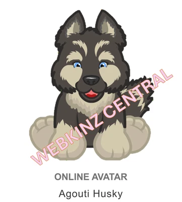 Webkinz Classic Agouti Husky *Code Only* (~messaged~) - Image 1 of 4
