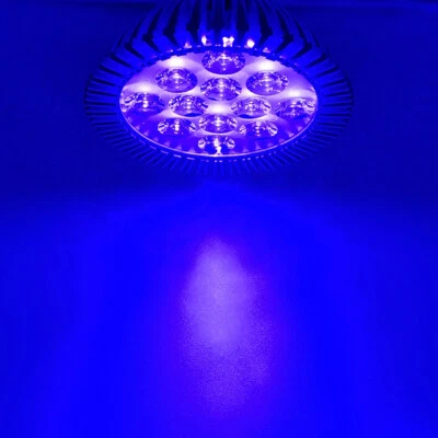 36W PAR38 Purple-blue 430nm~440nm LED Lamp Spot Light Bulb Curing Aquarium E27/6 - Image 1 of 4