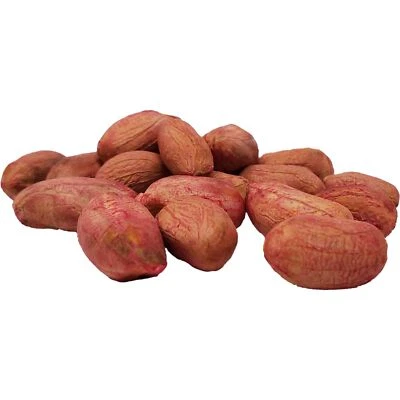 WAKEFIELD PEANUTS Wakefield Virginia Peanut Seeds - Grow Your Own Peanuts! Approx. 100 Seeds