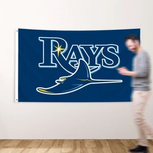 Tampa Bay Rays Devil Flag 3x5ft Banner w Grommets MLB Logo FREE SHIPPING - Picture 1 of 15
