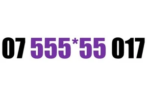 GOLD EASY MEMORABLE MOBILE PHONE NUMBER DIAMOND PLATINUM SIM 07 555 955 017 - Zdjęcie 1 z 1